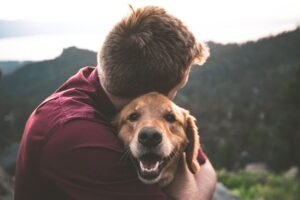 Stories of animal love