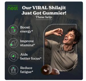 Premium Himalayan Shilajit Gummies: The Natural Boost Your Body Needs